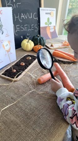 baskent_bilge_okullari (27)