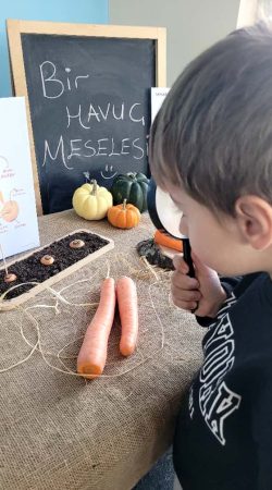 baskent_bilge_okullari (29)