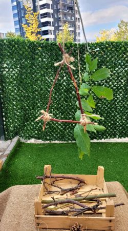 baskent_bilge_okullari (36)