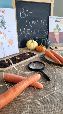 baskent_bilge_okullari (37)