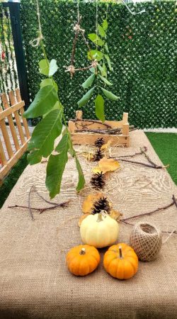 baskent_bilge_okullari (40)