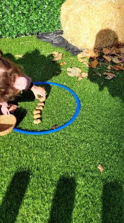 baskent_bilge_okullari (48)